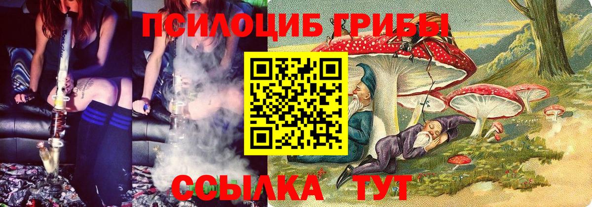 Псилоцибиновые грибы Magic Shrooms  Псилоцибиновые грибы GOLDEN TEACHER  Вход с VPN  Казань 