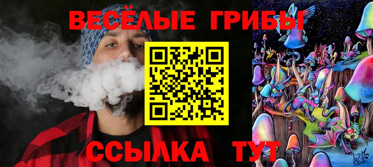 Галлюциногенные грибы Psilocybe Казань